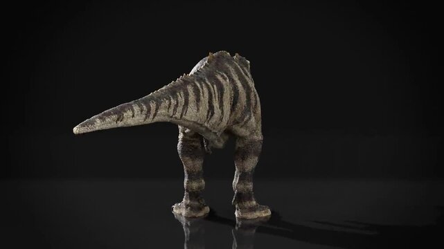 Ceratosaurus dinosaur spinning 3D CGI model on glossy surface