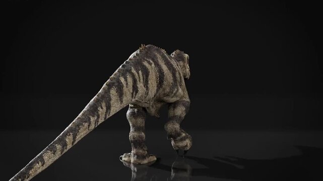 3D prehistoric Ceratosaurus dinosaur walking gait on glossy surface