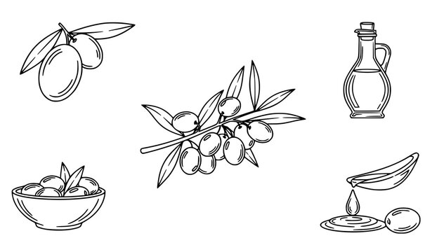 Bold olive and olive oil silhouettes square composition vector set with black and white icons