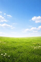 Obraz premium green grass and blue sky