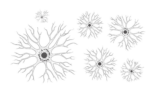 Multiple black and white neuron cell white biology science medical