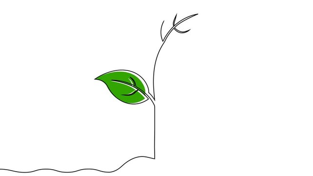 Growing plant animation: seedling to leaf plant growth,4K Continuous One Line Plant Growth Animation | Minimal Green Nature Loop | Aesthetic Botanical Line Art Video