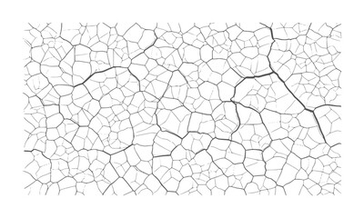Obraz premium Black and white cracked pattern with irregular polygons and thick lines abstract