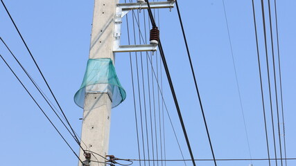 Fototapeta premium Snake Guard Net on Power Pole. Green Snake Trap Net on High Voltage Power Pole prevents snakes or reptiles from crawling up the power pole and causing short circuits, with copy space available with fo