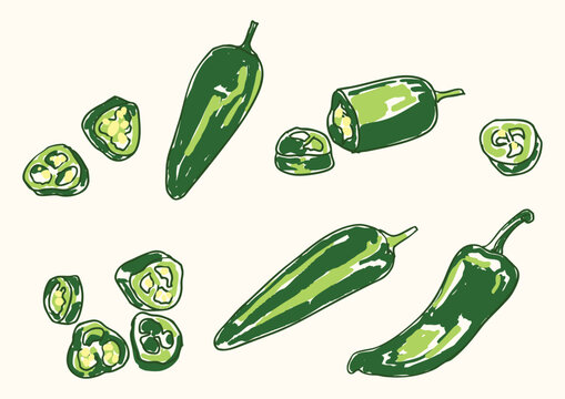 Green Jalapeno Set Fresh Chili Pepper