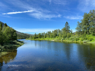 Obraz premium Serene river flowing through lush green Scandinavian landscape under a blue sky