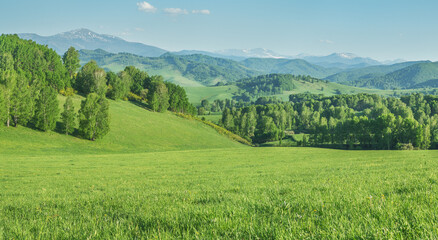 Obraz premium View of a summer day in the mountains, green meadows, mountain slopes and hills, countryside
