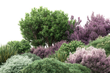 Obraz premium Lush, vibrant, and diverse assortment of bushes and flowering plants against a black backdrop