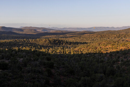 Distance balloons low on forested horizon in early light