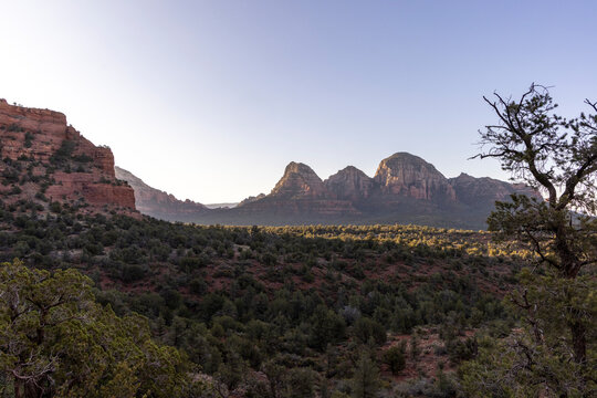 Distant rock formations rising from forested desert floor
