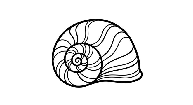 A minimalist black and white line drawing of a spiral snail shell, showcasing its intricate natural design and organic form