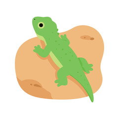 Fototapeta premium Cartoon green lizard climbing a tan rock in a vector illustration