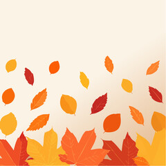 Obraz premium Falling autumn leaves in warm colors, a symbol of seasonal change and natural beauty