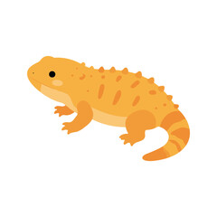 Fototapeta premium Friendly cartoon gidgee skink with bumpy back and yellow and orange markings