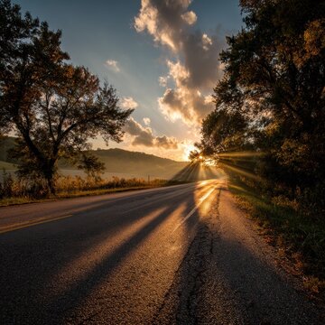 Country road bathed in warm god rays and autumn colors