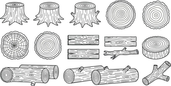Various tree trunks and logs with visible rings and textures wood slices tree rings wooden textures