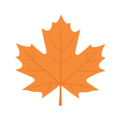 Obraz premium Simple illustration of a maple leaf in shades of orange against a white backdrop