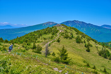 新緑の群馬県吾妻郡嬬恋村の湯ノ丸山頂から北側の眺望(湯ノ丸山北峰,四阿山,根子岳,御飯岳など) © Q2PHOTOAS
