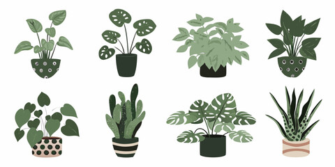 Collection of various potted houseplants with different leaf shapes and sizes © Tapan