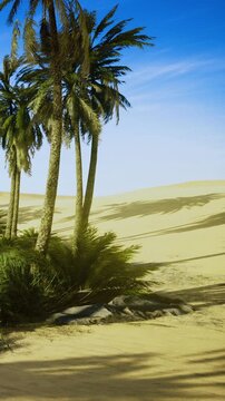 Tall palm trees grow in sandy desert with clear blue sky overhead. The scene shows a quiet area with sparse vegetation and soft, open sand in the background.