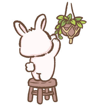Cute Kawaii Bunny Standing On Wooden Stool Reaching Hanging Houseplant Indoor Gardening Rabbit Cozy Plant Care Illustration