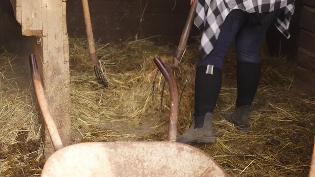 Young helpers muck out horse stalls using shovels and pitchforks, illustrating essential barn maintenance, agricultural labor, and livestock care routines.