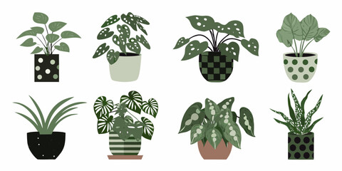 A collection of various potted houseplants in a minimalist style © Nasir