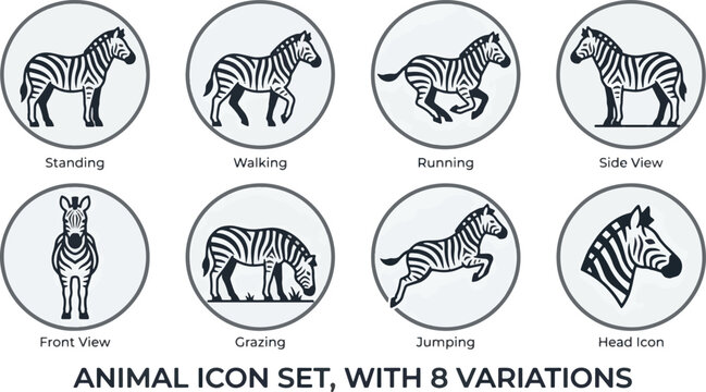 Zebra animal icon set featuring 8 variations including standing, walking, running, grazing, jumping, front view, side view, and head icon. Flat vector illustration with clean lines on white background