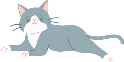 Fototapeta premium Grey lying cat