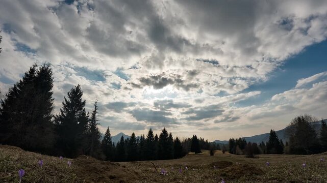 Spring Awakening in Mountains with Dramatic Sky Timelapse