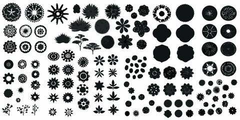 Fototapeta premium Collection of diverse abstract floral and botanical shapes in black