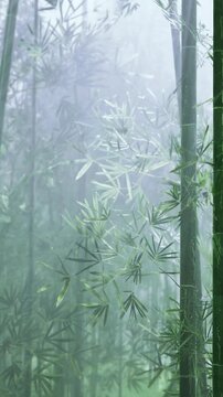 Bamboo stalks grow tall in a forest with mist surrounding the trees. Light filters through leaves in the early morning. The scene shows a natural setting with lush green plants.