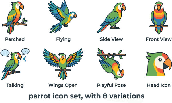 Parrot animal icon set featuring 8 variations including perched, flying, talking, wings open, playful pose, side view, front view, and head icon. Flat vector illustration with vibrant colors isolated 