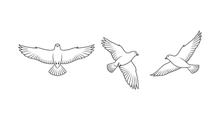 Fototapeta premium Three line art drawings of birds in flight one seen from above with wings spread wide two in profile showing wing motion symbolizing freedom migration and aviation