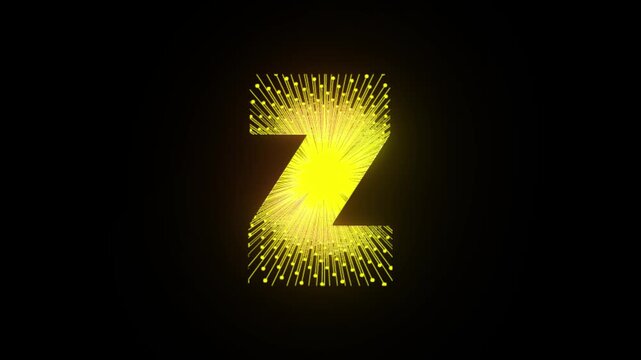 Black background beautiful motion picture logo animation, logo, logo with black background, business logo