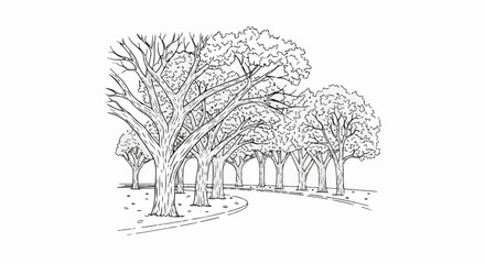 Fototapeta premium Winding path lined with mature trees, sketched in a monochromatic style