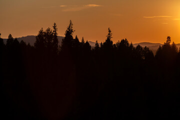 Obraz premium The silhouette of a pine forest and mountains against the sunset