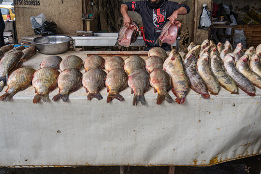 Fish market in old Mosul, Iraq