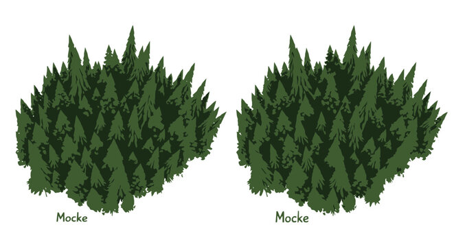 Dense cluster of evergreen trees illustration with dark green foliage sharp conical shapes and forest mocke isolated on a white backdrop
