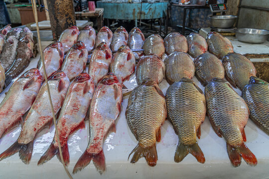 Fish market in old Mosul, Iraq