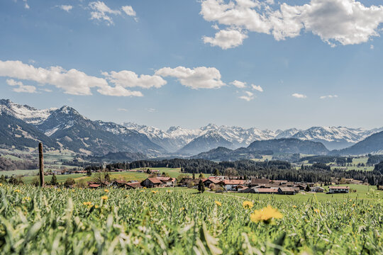 Scenic View over Dandelion Meadow to the Village of Schweineberg and Snow-Capped Allgaeu Alps near Sonthofen, Spring Landscape with Oberstdorf Mountains in Background, Bavaria, Germany