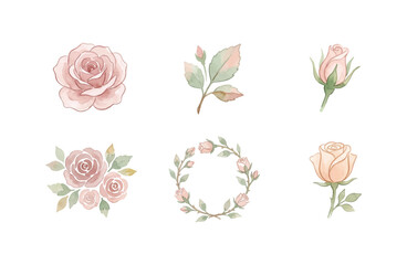 Fototapeta premium Watercolor Rose Icon Set Collection
