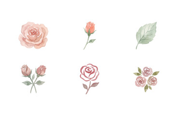 Fototapeta premium Watercolor rose flower icons set in soft pastel colors isolated on white background