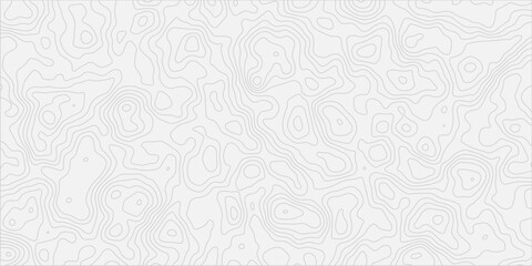 Obraz premium Abstract Geographic Surface Constructed with Smooth and Layered Contour Lines Blending Soft Terrain Gradients into a Modern, Refined Minimal Aesthetic