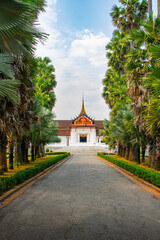 Naklejka premium Palm‑lined pathway leading to ornate Southeast Asian temple building