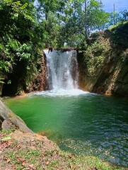 Naklejka premium waterfall in the forest