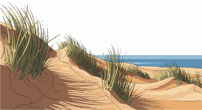 Grassy sand dunes lead to the calm, blue ocean under a white sky