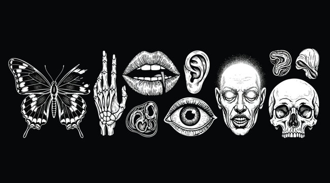 Set of hand drawn anatomical elements including butterfly, skeleton hand, lips, ear, eye, human face and skull