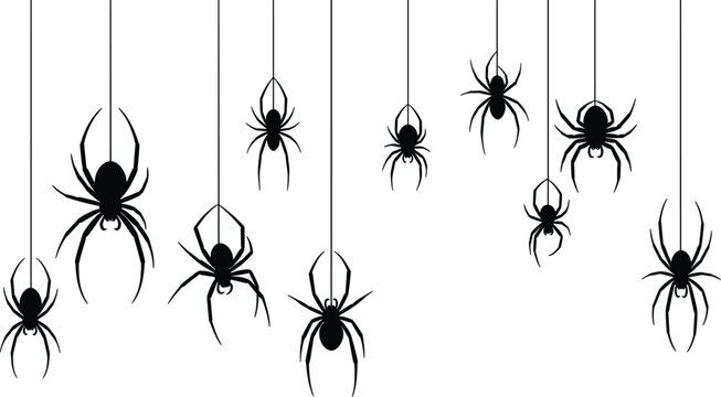 Spider Silhouette Icon Set Featuring Hanging Spiders on Web Threads for Halloween Decoration Creepy Insect Design and Spooky Graphic Projects