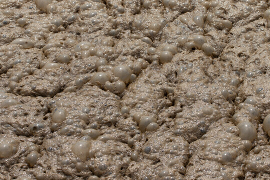 Activated sludge in an aeration tank at a wastewater treatment plant. Oxygen is mechanically introduced into the tank to support aerobic bacteria that break down organic waste particles. 